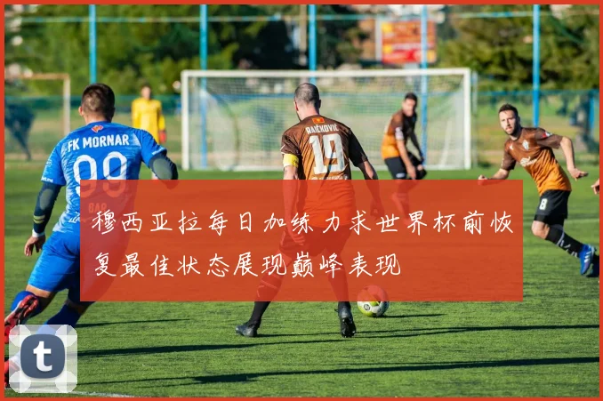 穆西亚拉每日加练力求世界杯前恢复最佳状态展现巅峰表现