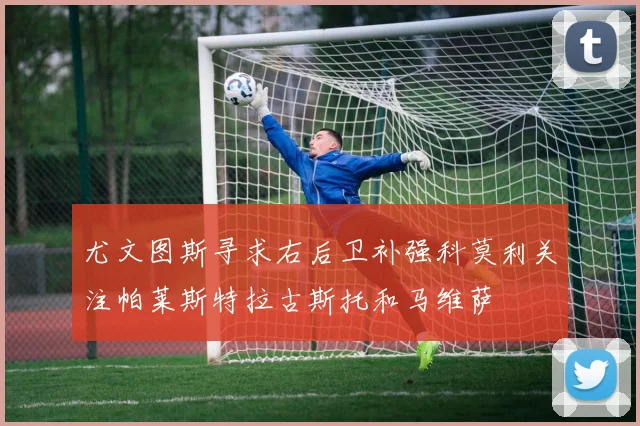 尤文图斯寻求右后卫补强科莫利关注帕莱斯特拉古斯托和马维萨