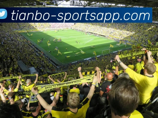 天博足球平台生态图